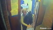 CCTV: woman filmed 'stealing Christmas tree from care home'