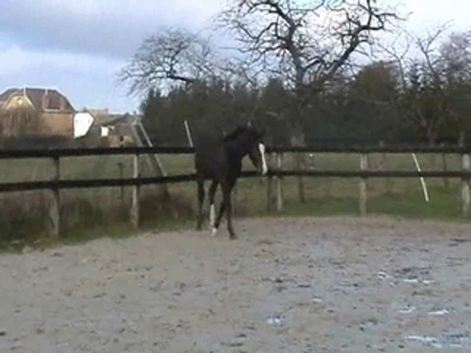 Attlia29nov2006