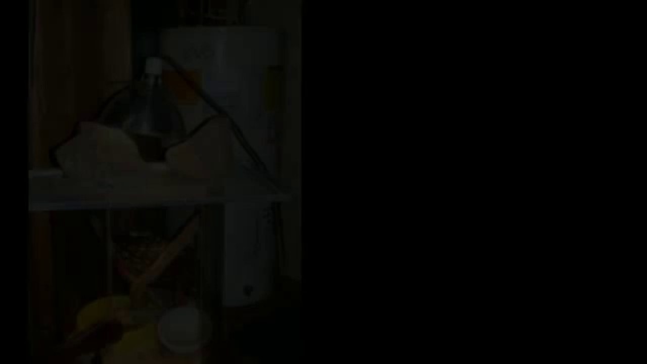 Edmonton Home Inspectors | Executive Home Inspections