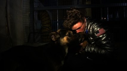 "There are stray dogs all over the place" -- U.S. Olympian