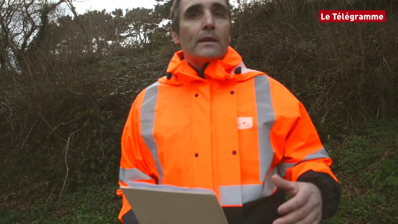 Ploumilliau (22). Gros chantier pour ErDf après la tempête