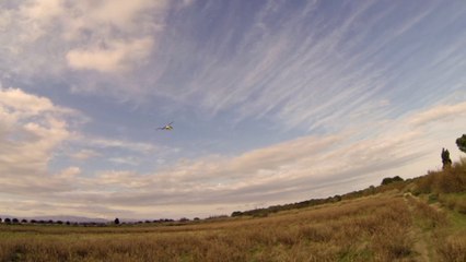 T-REX 700e PRO DFC HV