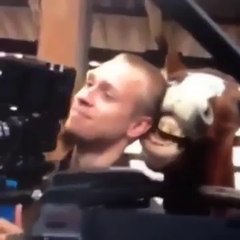 The Horse Whisperer - Vine