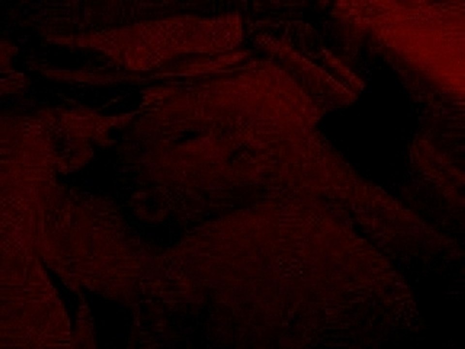 gazouillis pour papa