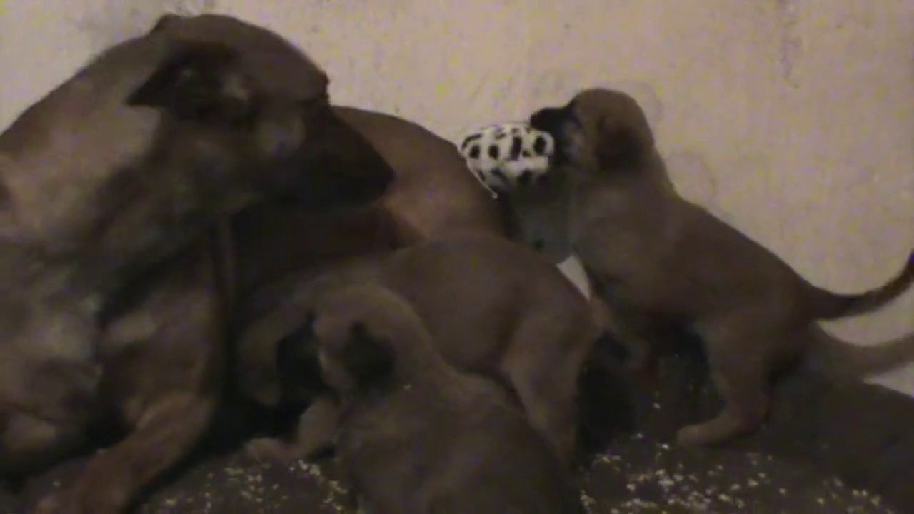 Be Aware G's @ Mr. Blue - It's all mine!