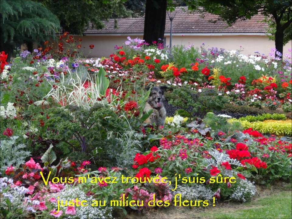 BALADE à THIONVILLE 2ème partie