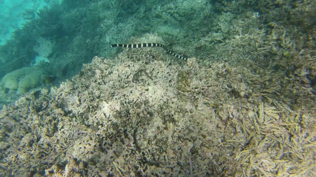 Week-end camping ilôt signal 09.02.14