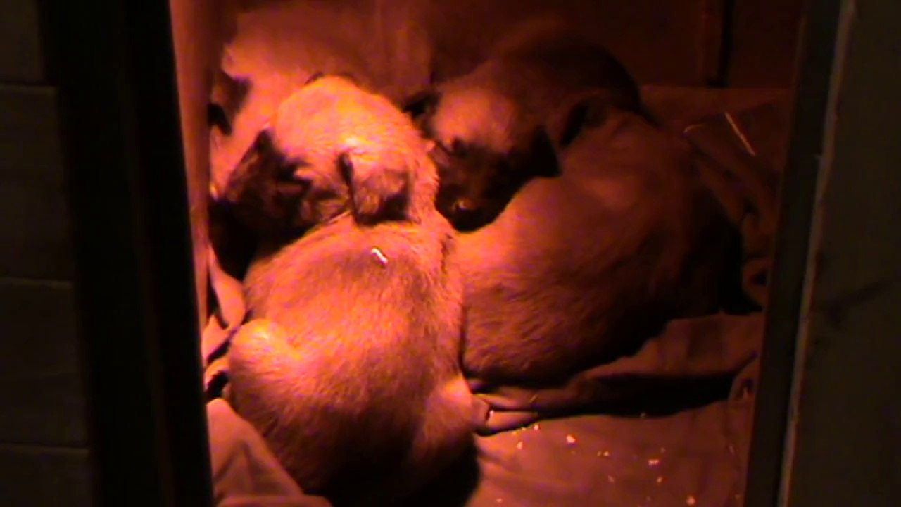 Be Aware G's @ Sandman wishes a good night!