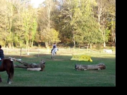 Tronc + bordure maraîchère