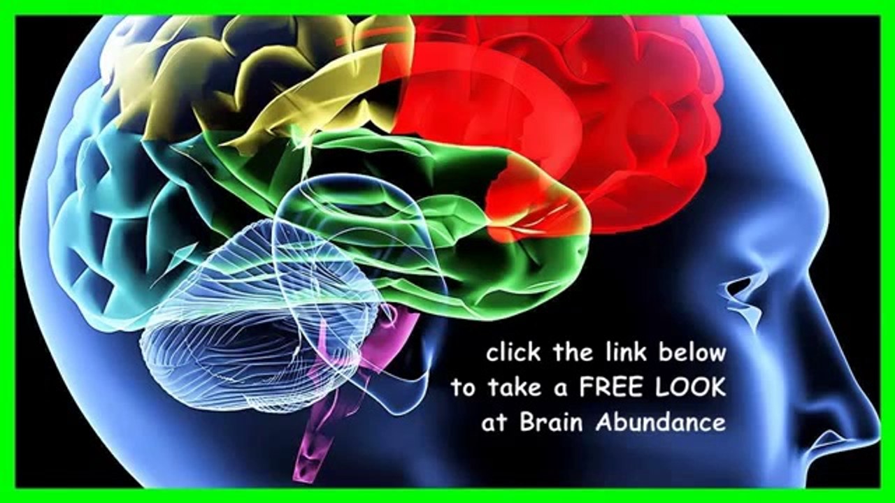 What is Brain Fuel Plus - Brain Supplement - Brain Abundance Inc Presents Brain Fuel Plus