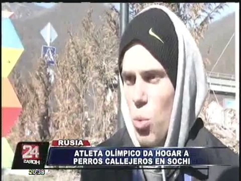 Rusia: atleta olímpico rescató a perros callejeros que iban a ser sacrificados