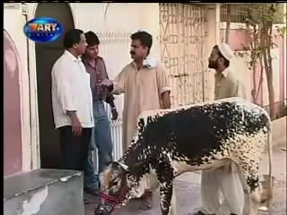 pakistan funny video(4)