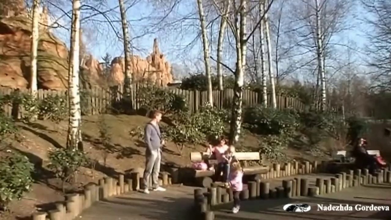 Disneyland. Paris