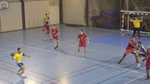 Handball : Nevers en leader s'impose à Toucy le dauphin
