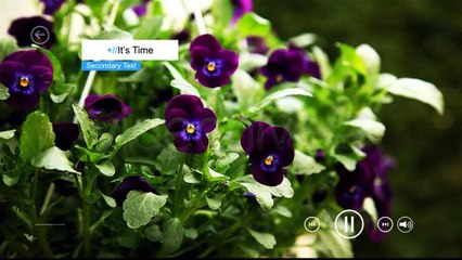 Simple W8 Style - After Effects Template