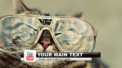 social network lower thirds - After Effects Template