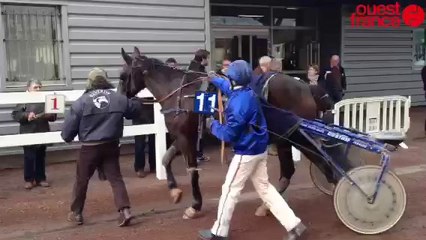 Courses de trot