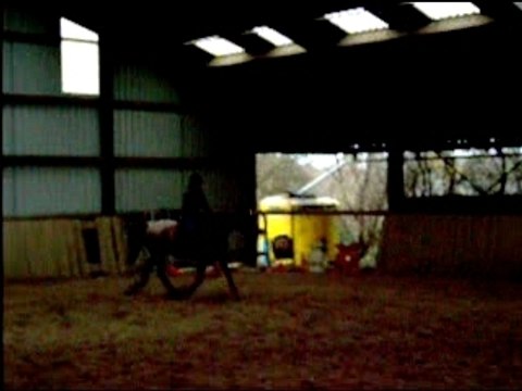 OBSTACLE - Moi et ma jument