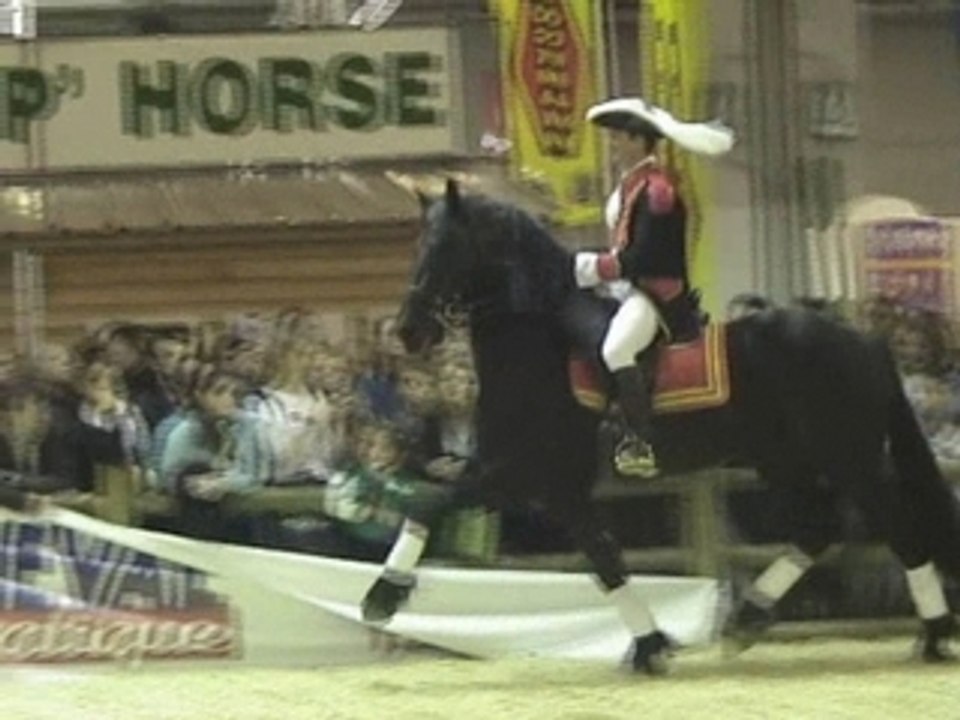 Salon cheval PARIS 2006 FRison entier