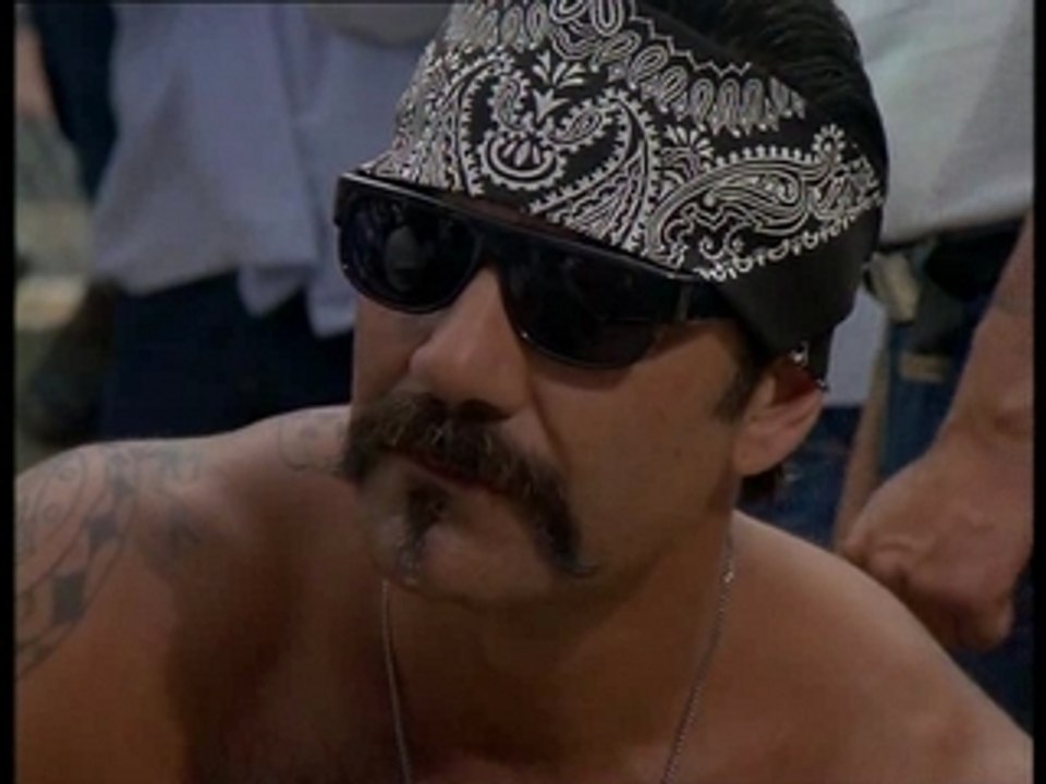 kamoulox.demi.finale