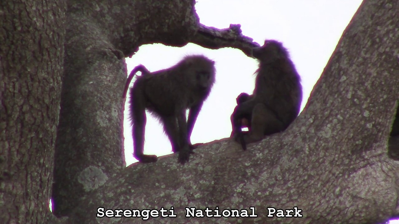 Africa_trip_part_2