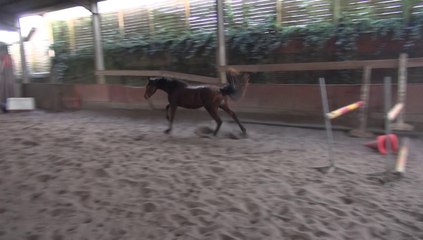 Majoris du Ventel 16 février 2014