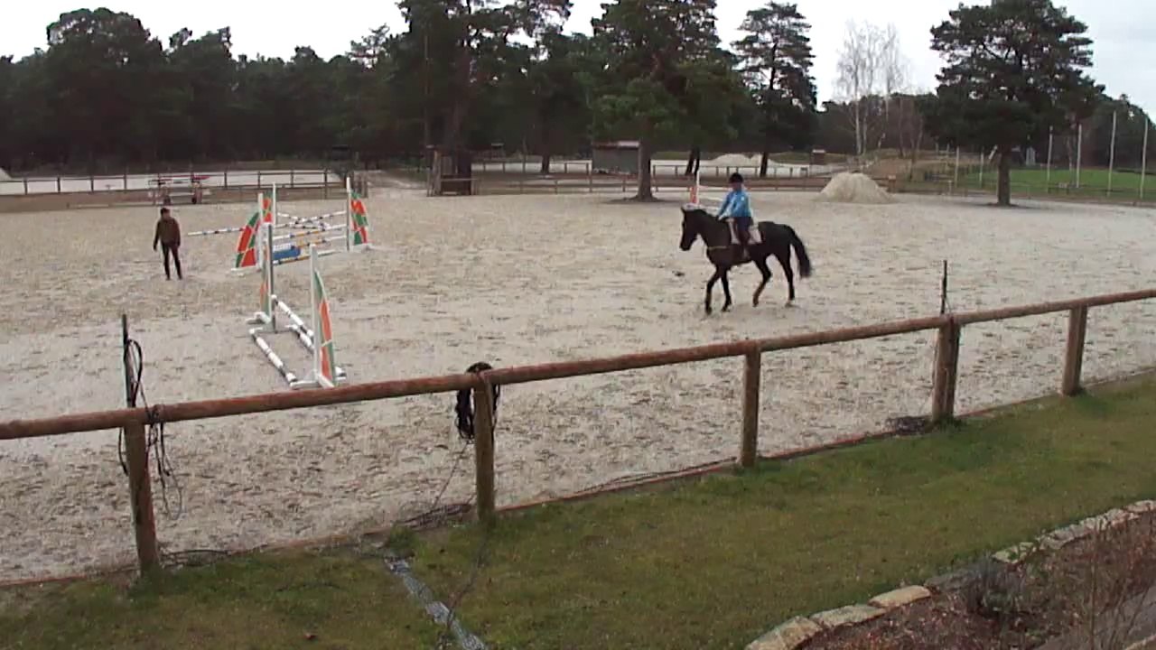 air de famille 2nde séance obstacles au grd parquet fev 2014