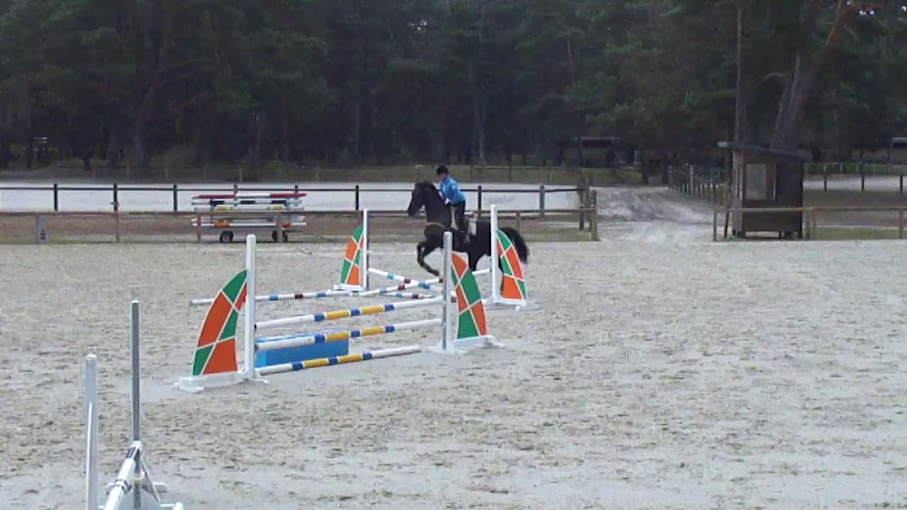 air de famille 2nde séance obstacles monté au grd parquet fev 2014
