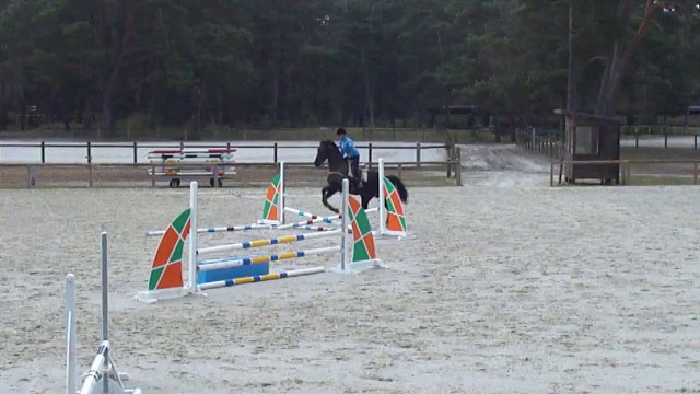 air de famille 2nde séance obstacles monté au grd parquet fev 2014