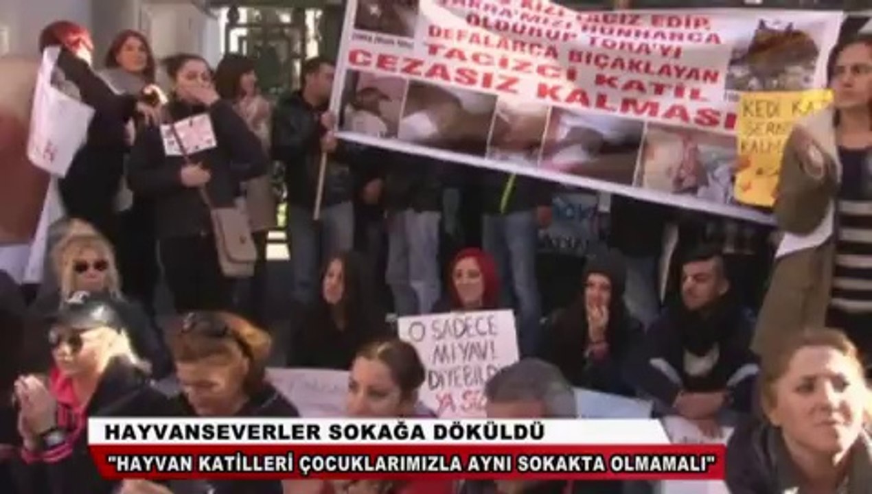 Kedi işkencesi hayvanseverleri sokağa döktü