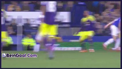 All Goals - Everton 3-1 Swansea City - 16-02-2014 Highlights