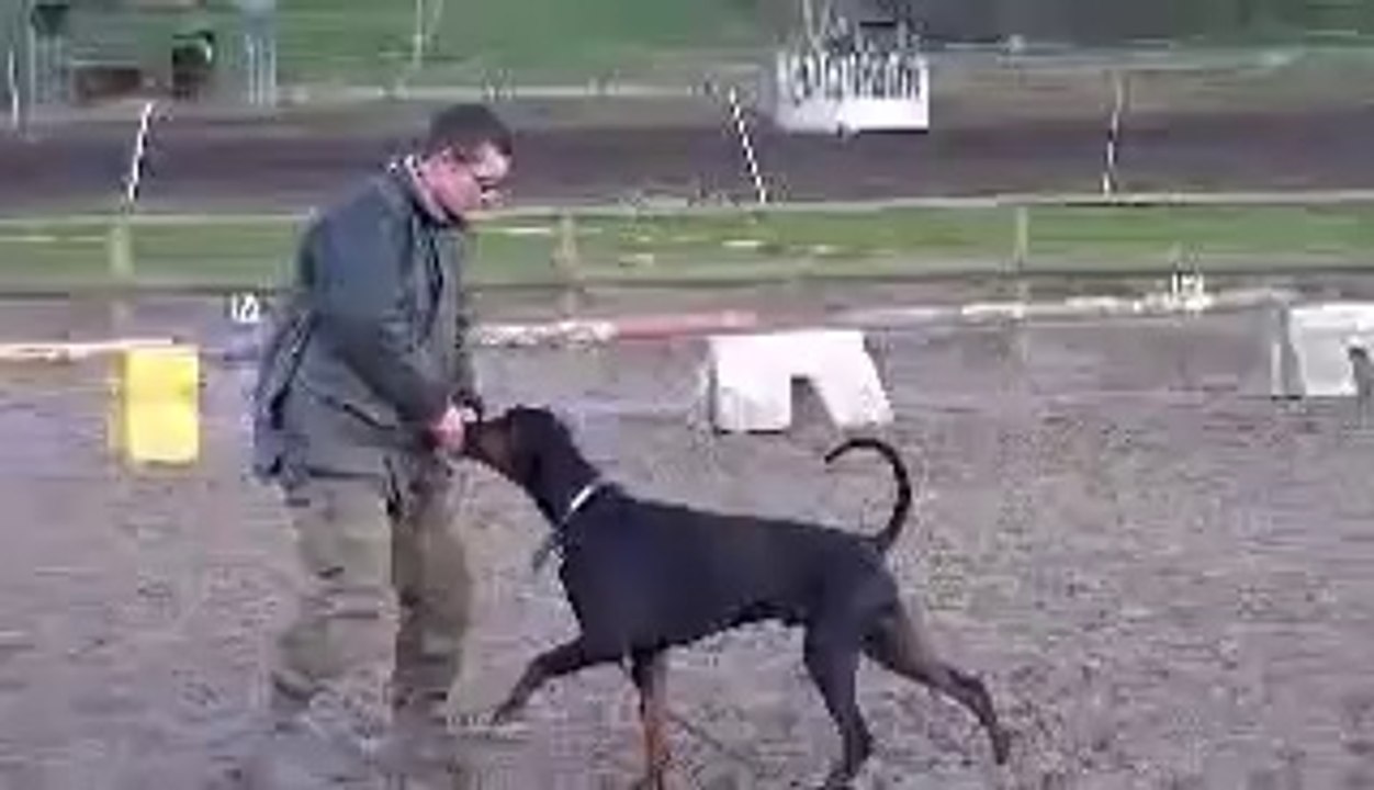 bendit 1 an  obediance  IPO