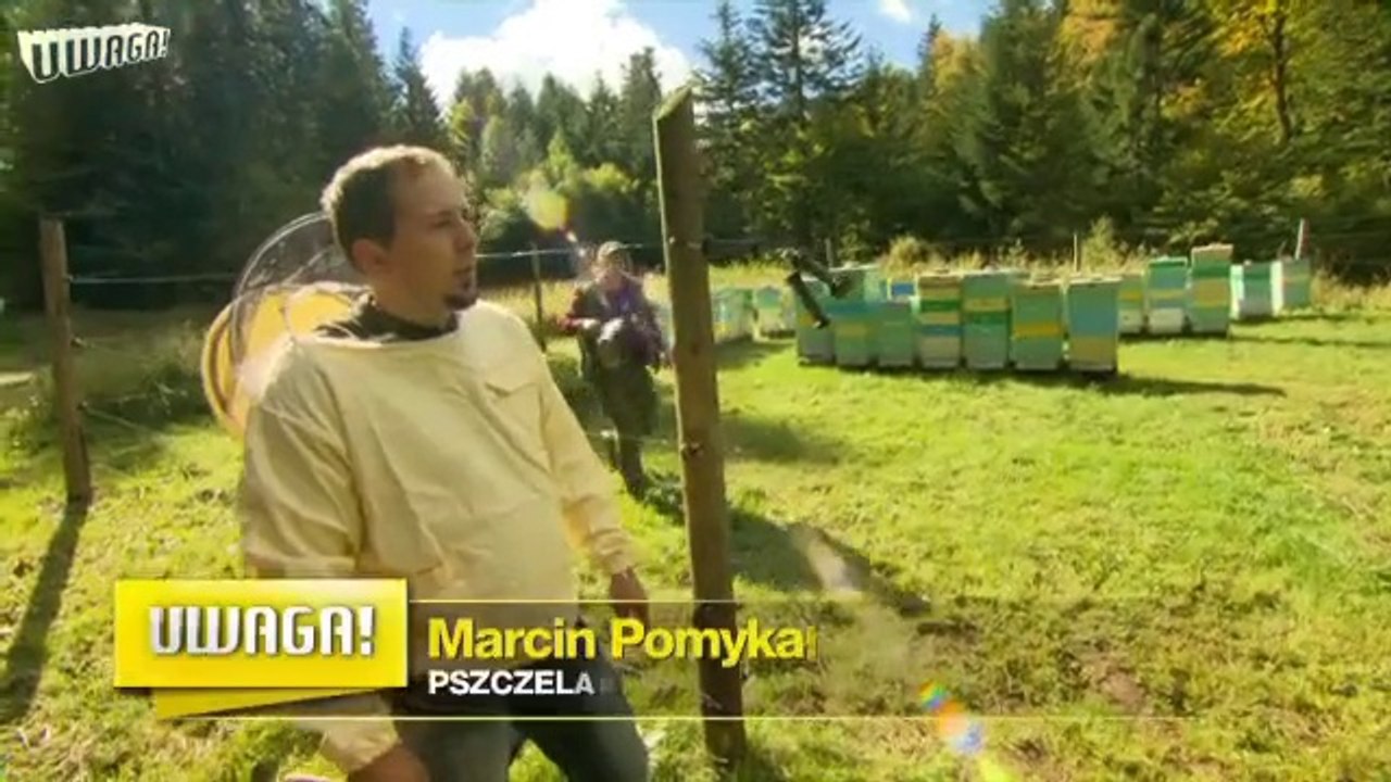 zatrucia pszczół