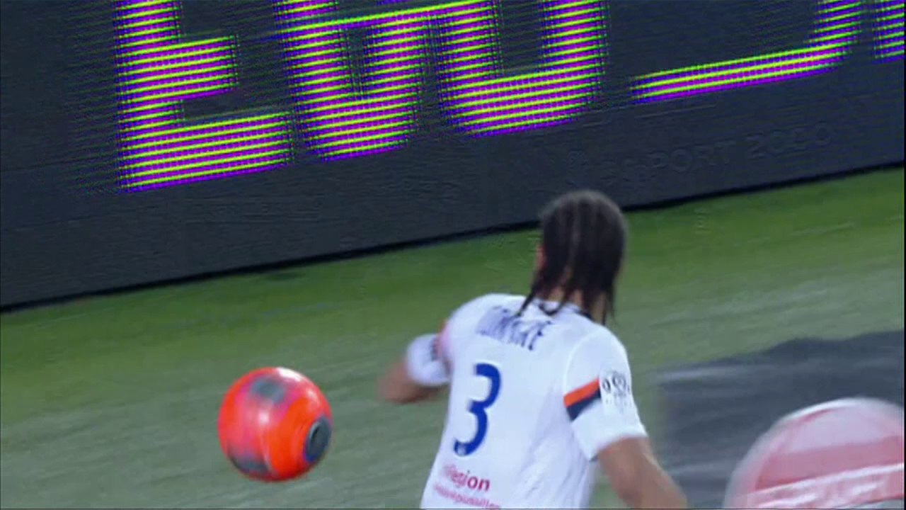 Stade Rennais FC - Montpellier Hérault SC (2-2) - 15/02/14 - (SRFC-MHSC) -Résumé