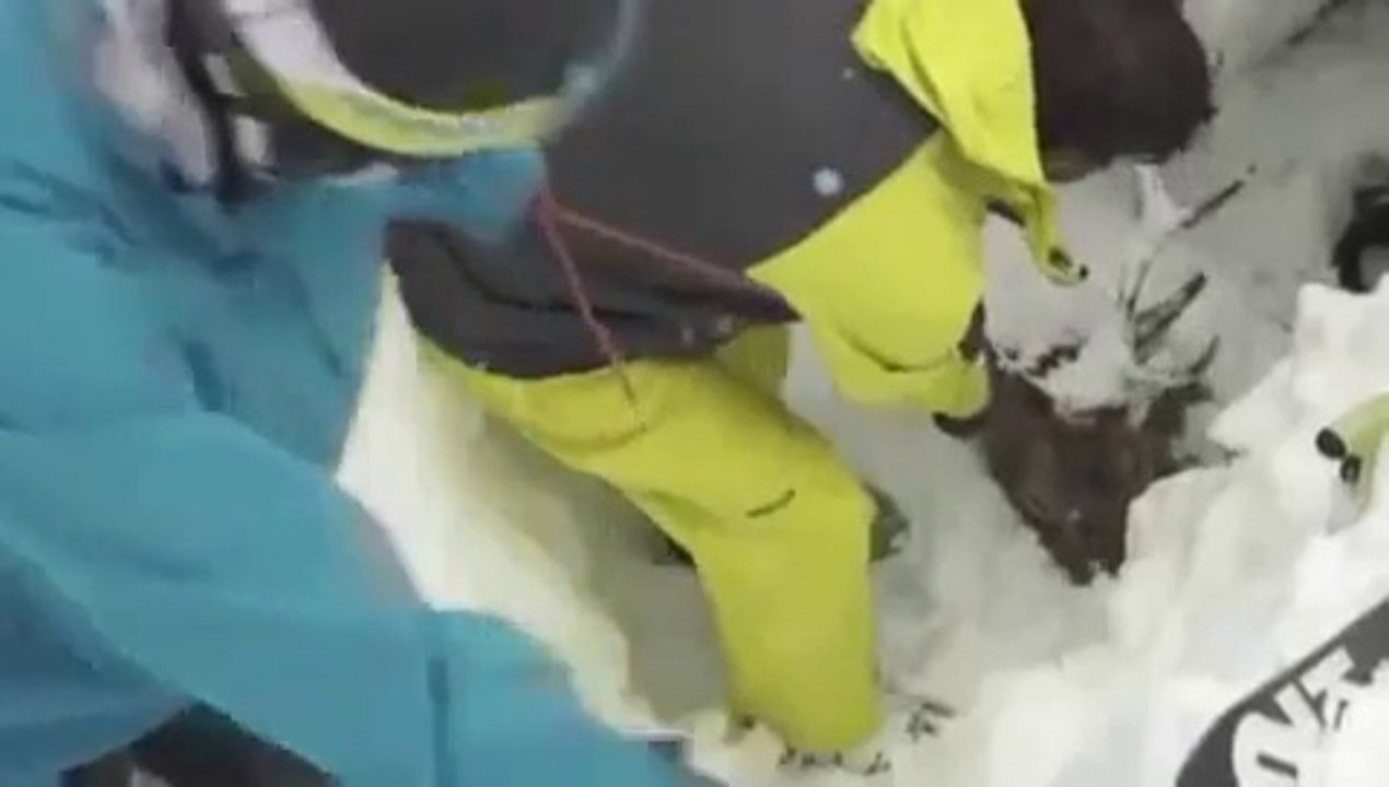 Skiers Miraculously Rescue A Deer Buried Antler-Deep In The Snow