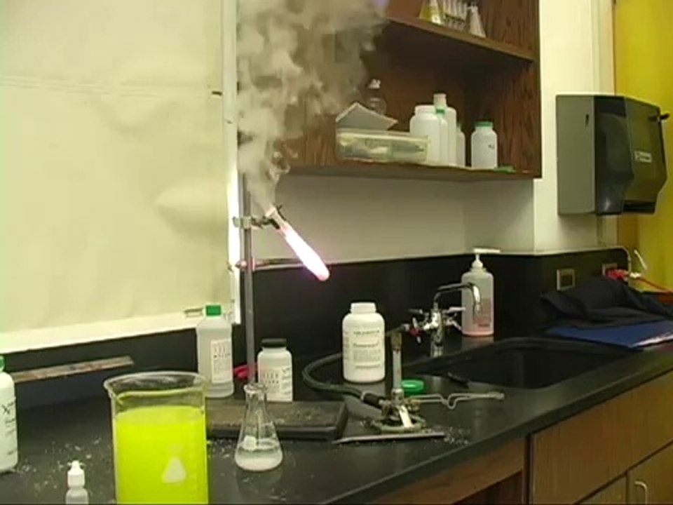 Un nounours en gélatine transformé en bombe !