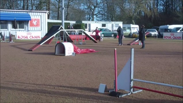 Eclipse 67th Running DW concours de cholet 2014-02-16