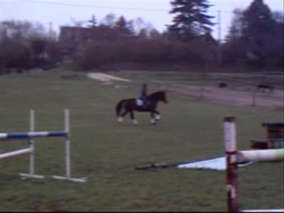 challenge dressage
