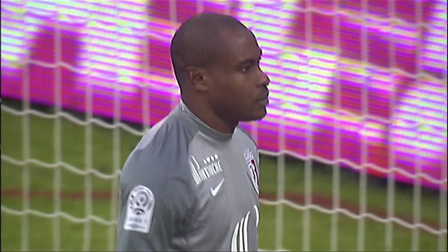 But Kévin BERIGAUD (15ème) - Evian TG FC - LOSC Lille - (2-2) - 16/02/14 - (ETG-LOSC)