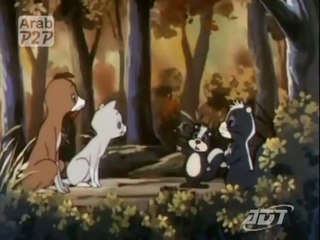 مسلسل كارتون - تاوتاو - مدبلج - الحلقة 22