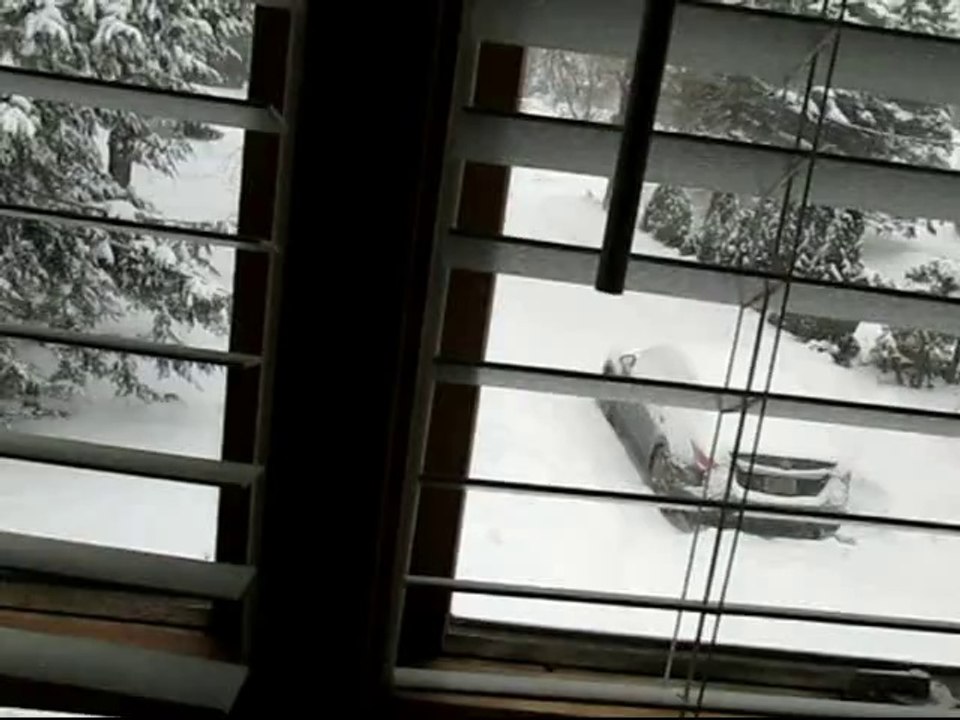 Icycle This!