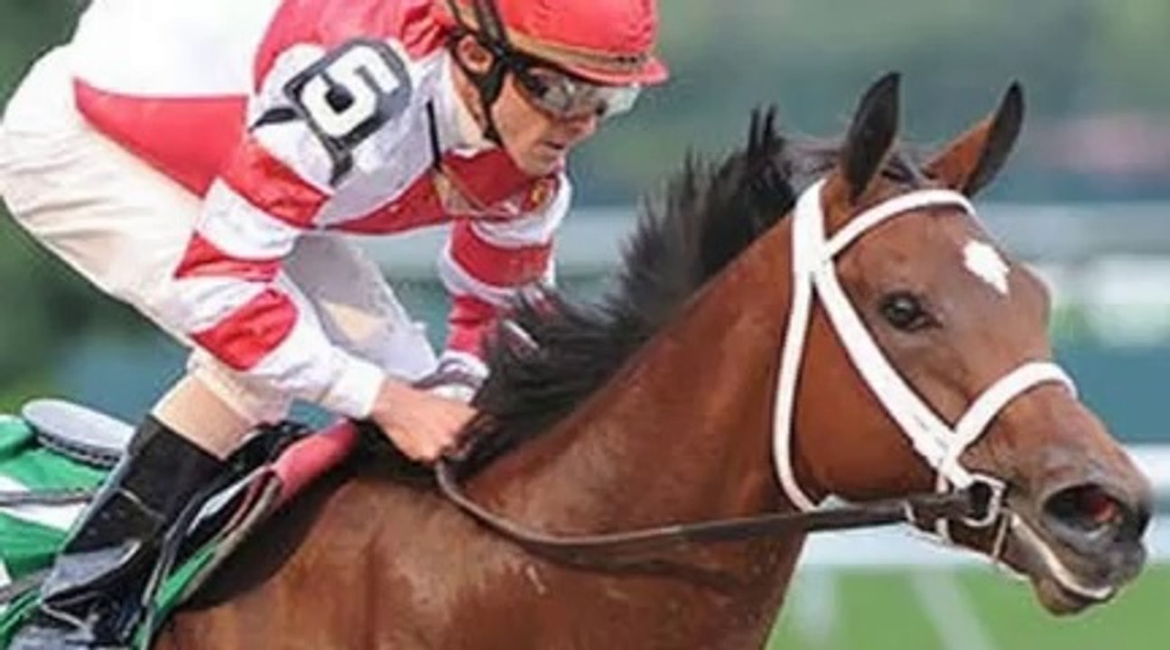 Havre De Grace