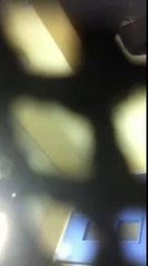 apple jolly christmas facebook ronan blaney final edit part 3 N.V.C. Analysis