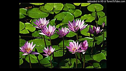 apple jolly christmas facebook ronan blaney final meeting with yousef 1 min