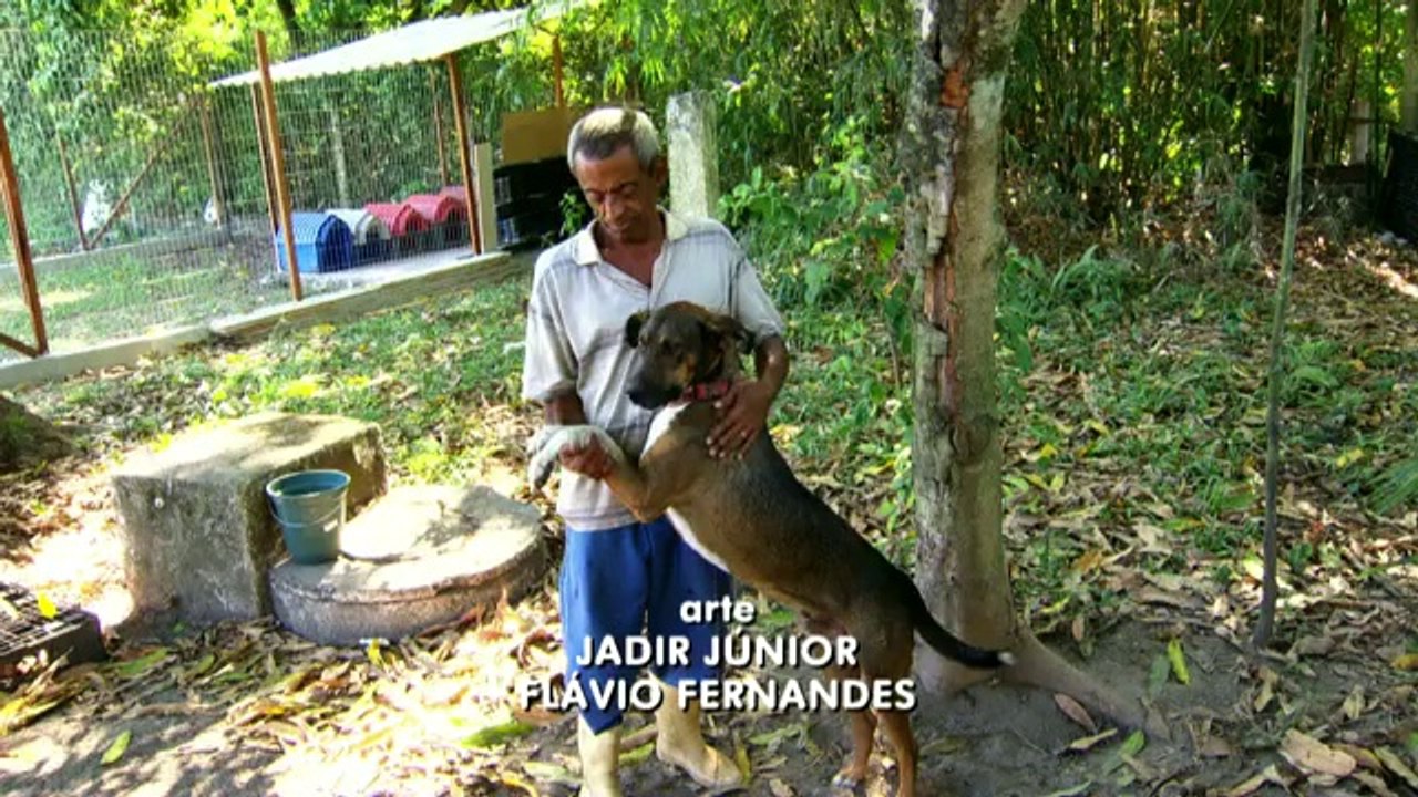 Fantástico - Cachorros