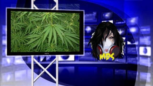 Weed Buying App, How to buy weed on andriod or Smart phone