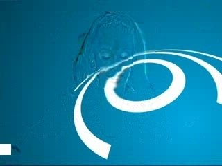 France 24 - Premieres images exclusives