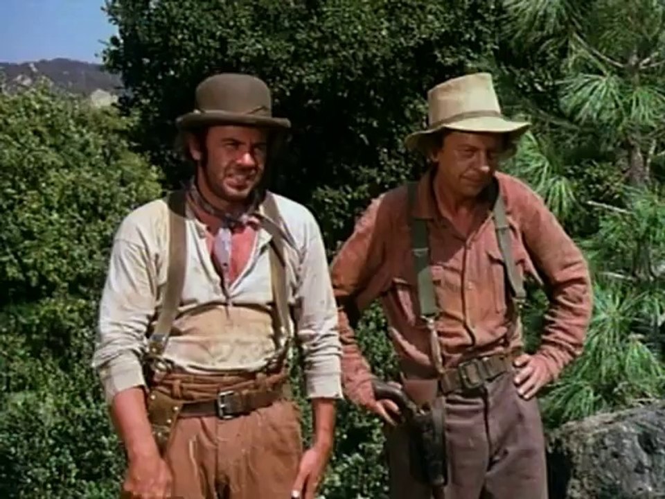 The Apple Dumpling Gang