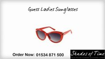 Guess Sunglasses for Men & Women