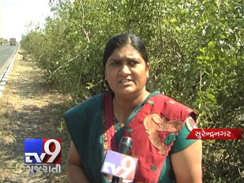 16 people killed in four separate accidents - Tv9 Gujarati